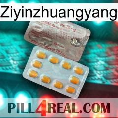 Ziyinzhuangyang new13